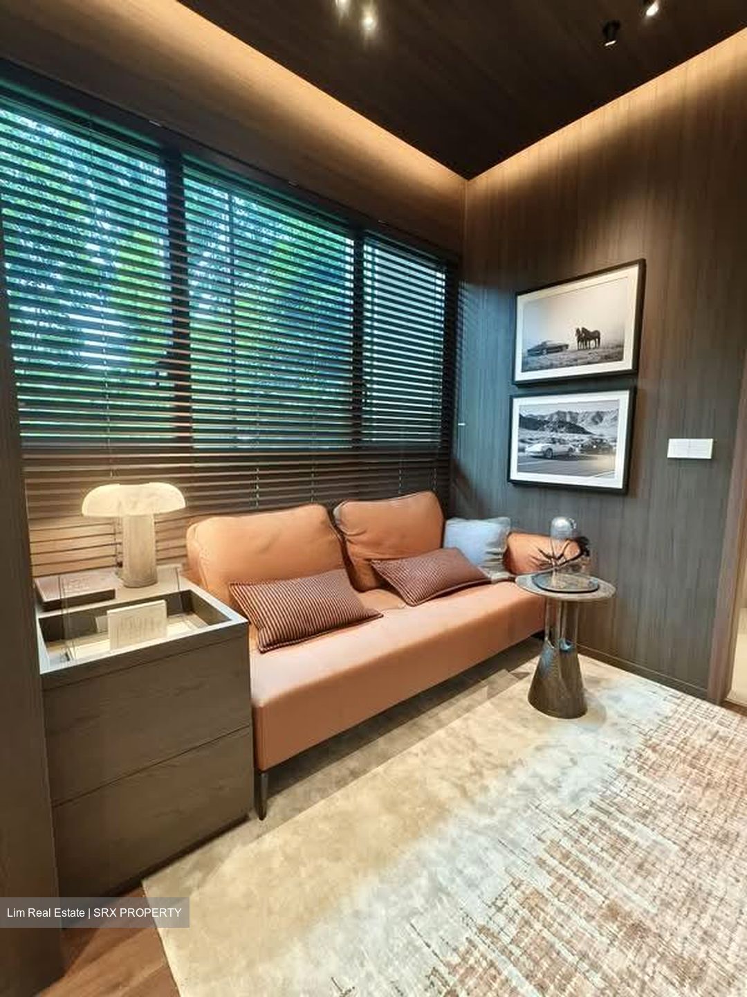 Dunearn Road (D11), Condominium #593385241